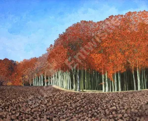 Autumn Beech Limited Edition Print