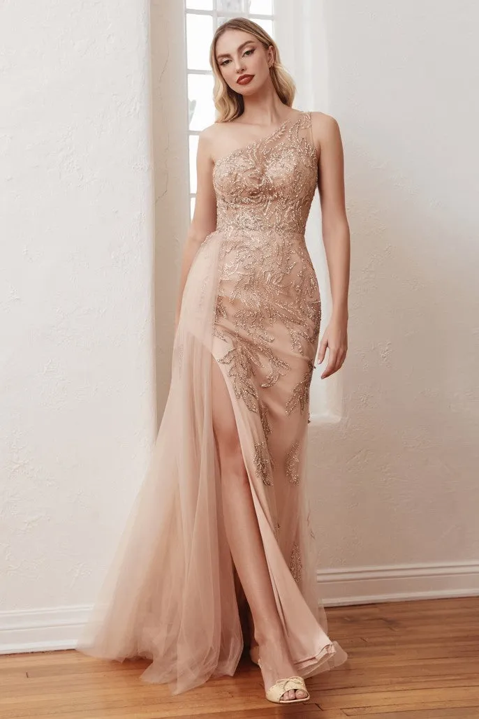 Cinderella Evening Dress CB098