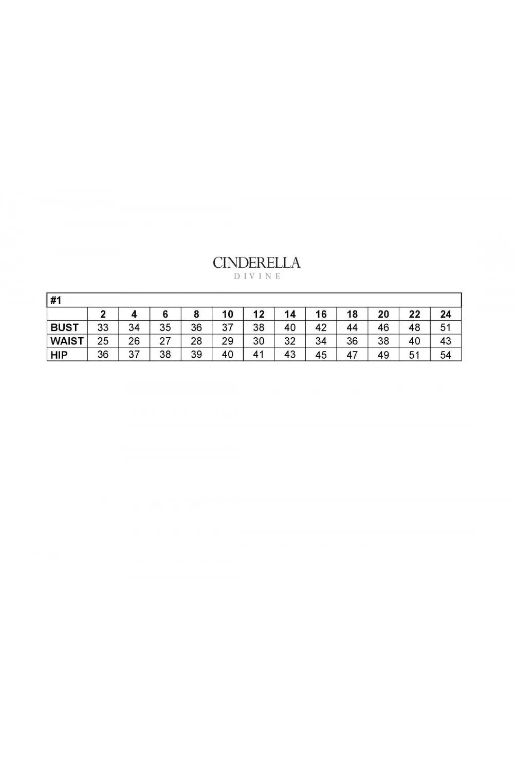 Cinderella Evening Dress CD940C