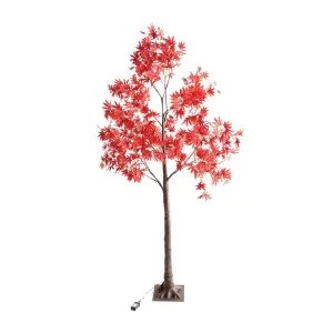 Indoor/Outdoor Electric Lighted  Japanese Maple Tree, 6' Tall,65r52